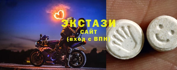 хмурый Верея
