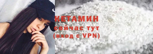 хмурый Верея