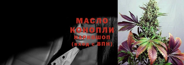 хмурый Верея