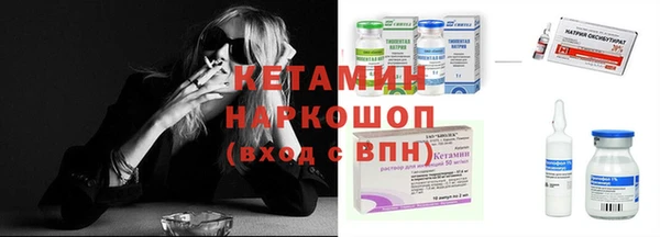 хмурый Верея