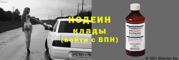 хмурый Верея