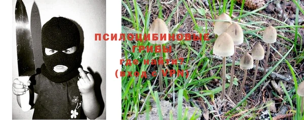 шишки Верхнеуральск
