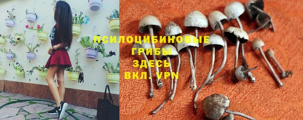 хмурый Верея