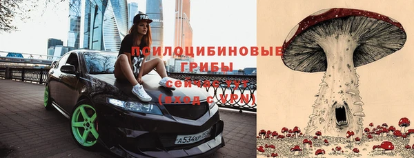твердый Верхний Тагил