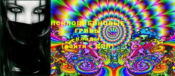 хмурый Верея