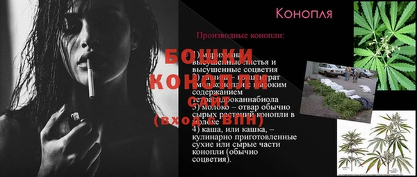 твердый Верхний Тагил