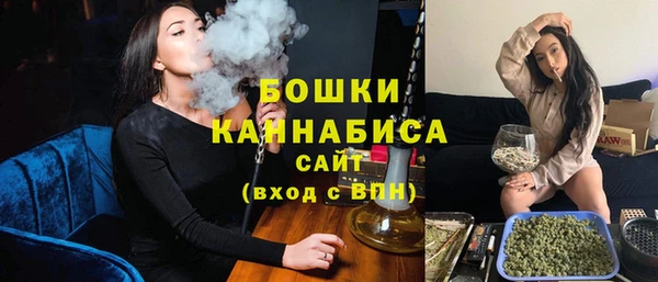 хмурый Верея