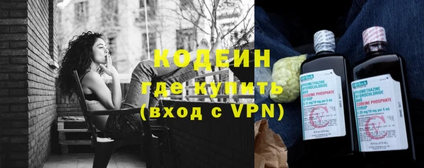 хмурый Верея