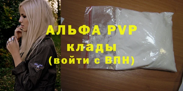 хмурый Верея